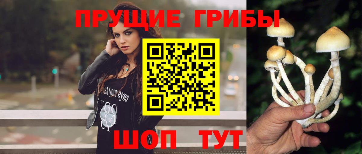 продажа наркотиков  Вход с VPN  Лесосибирск  Псилоцибиновые грибы ЛСД 